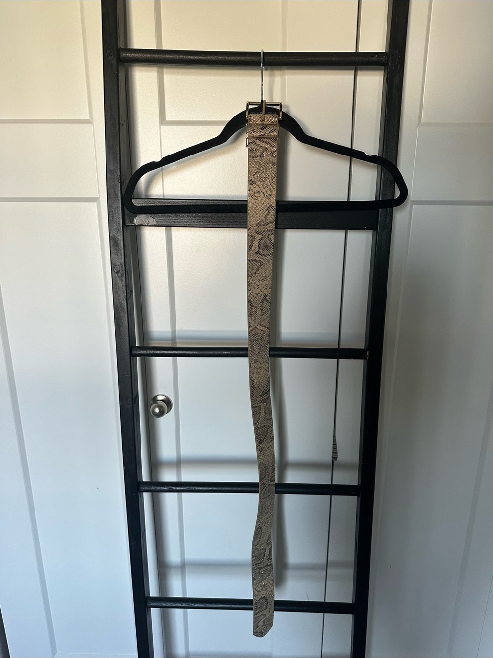 Express Snake Print Tan and Brown Belt